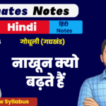 10th Godhuli Gadhykhand Ex-4 BSEB Free Notes pdf